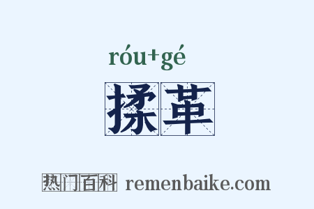 揉革是什么意思的图片
